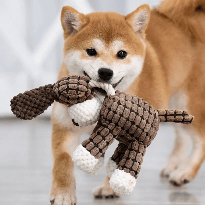 Duurzaam pluchen hondenspeeltje hondenknuffel