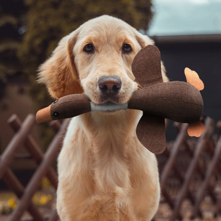 SolidPet - Onverwoestbaar Hondenspeeltje