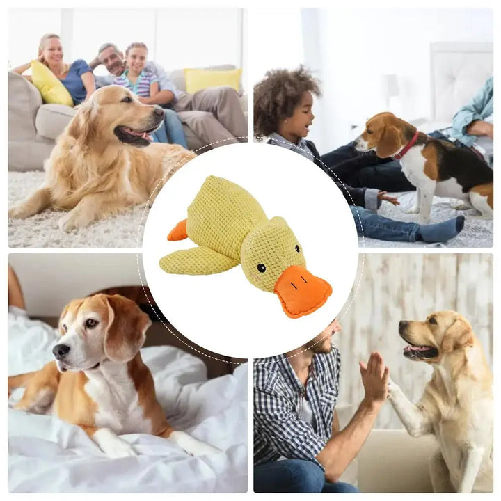 HappyPet – Duurzaam hondenspeeltje hondenknuffel