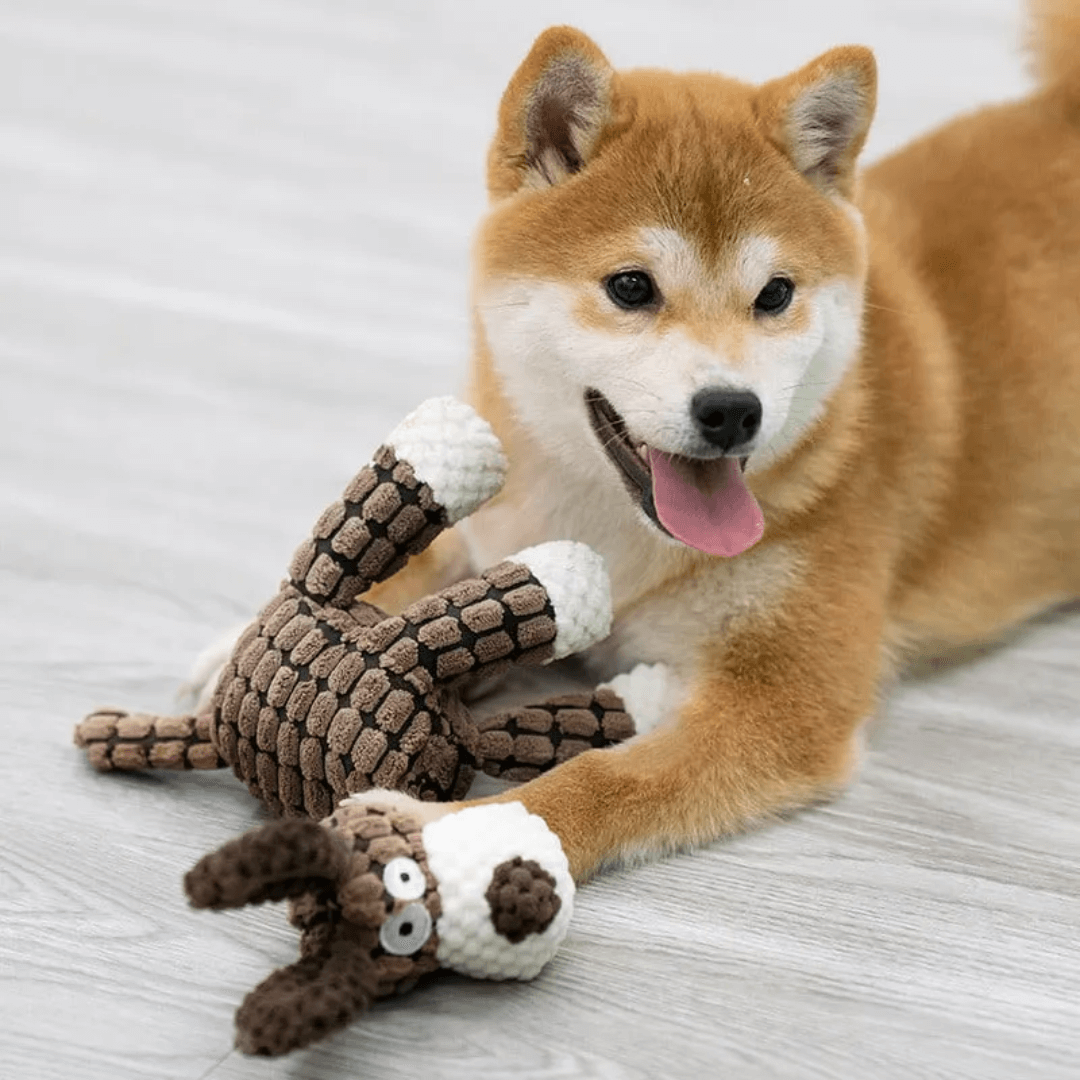 Duurzaam pluchen hondenspeeltje hondenknuffel