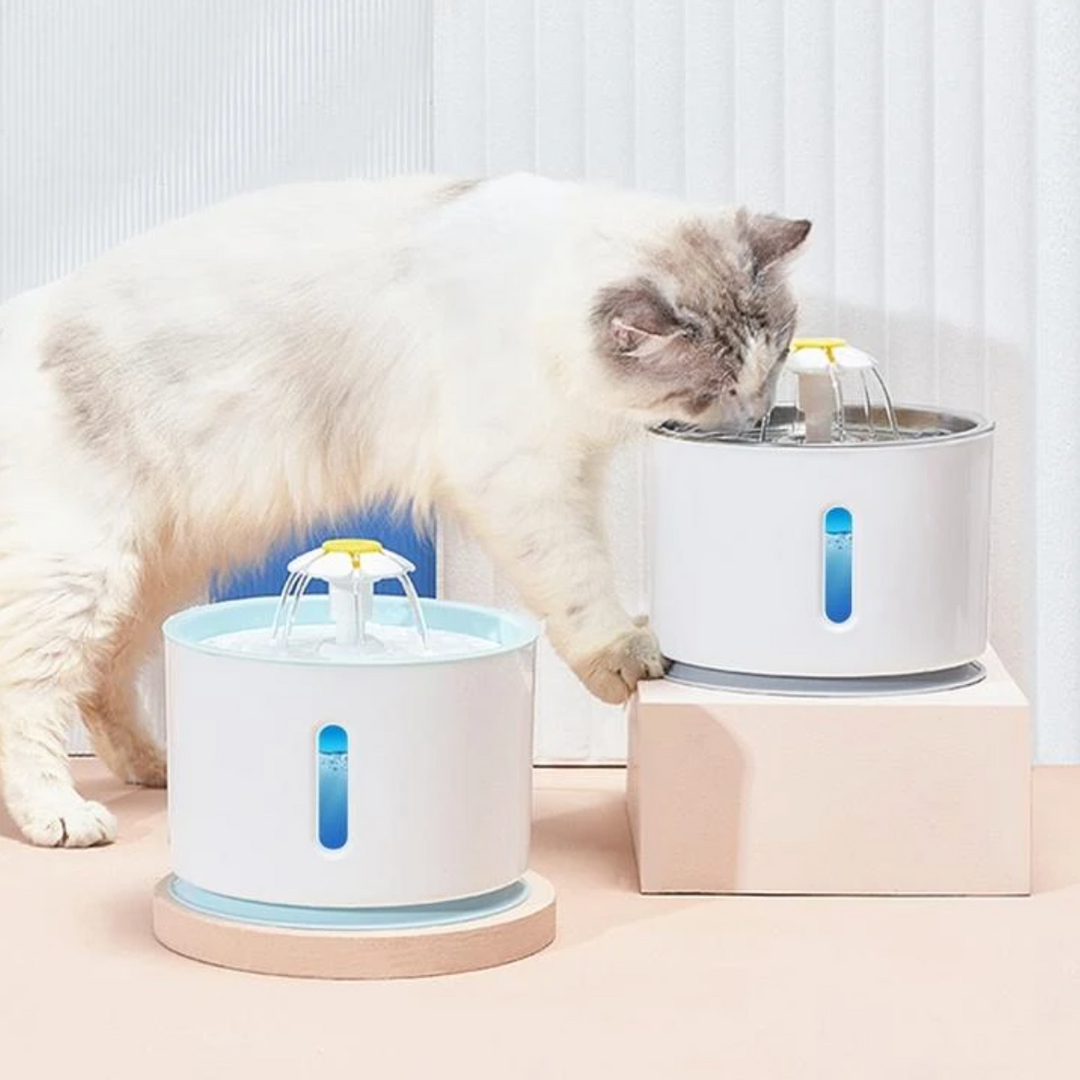 KatFlow – Automatische Drinkfontein voor Katten