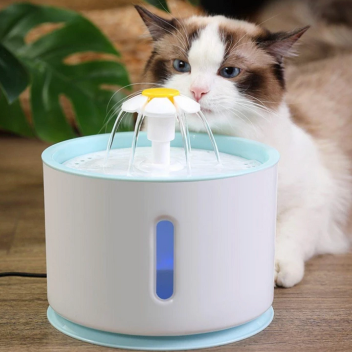 KatFlow – Automatische Drinkfontein voor Katten