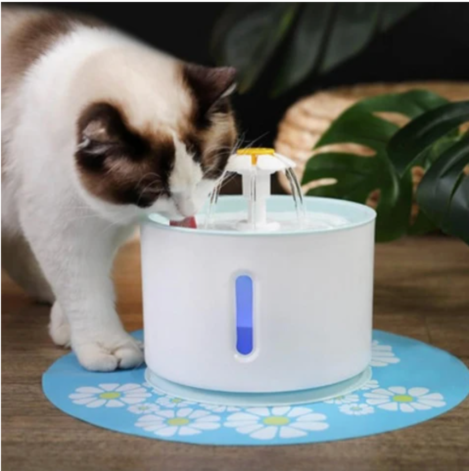 KatFlow – Automatische Drinkfontein voor Katten