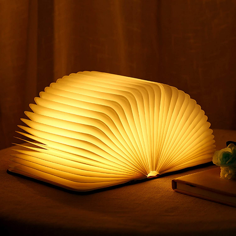 Mystieke boekenlamp